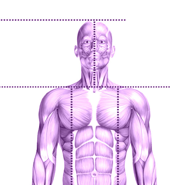 Body Assessment