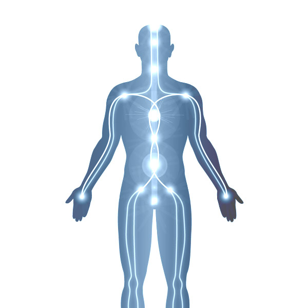 Structural Energy Lines 1