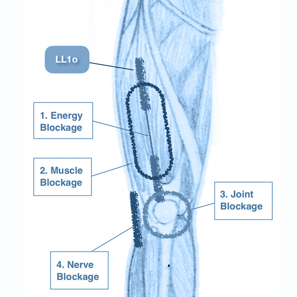 Structural Energy Lines 2